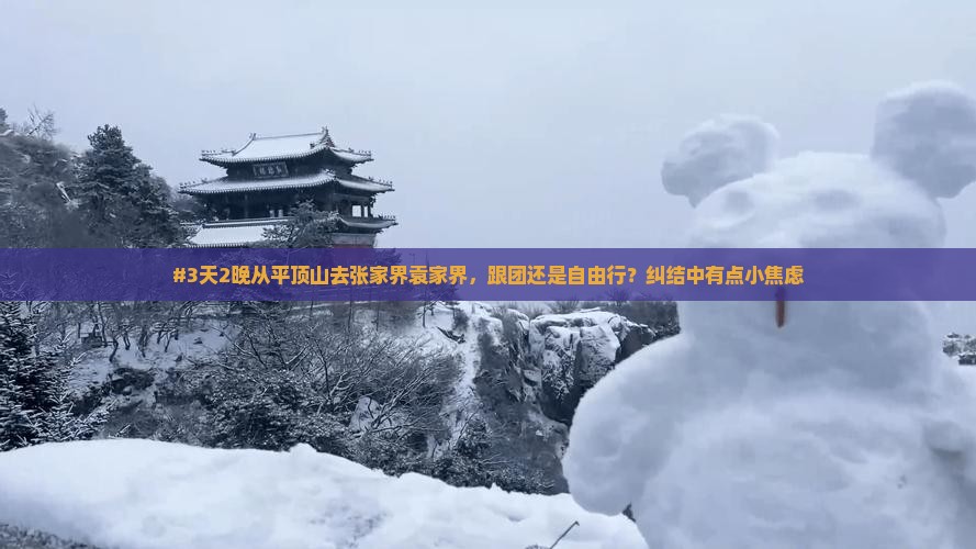 平顶山到张家界袁家界四日游