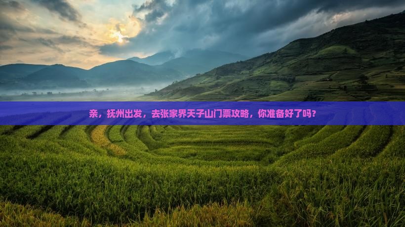 抚州到张家界天子山门票