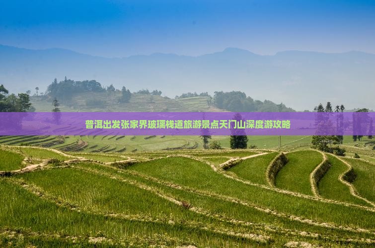 普洱到张家界玻璃栈道旅游