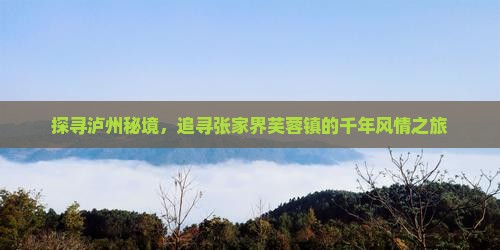 泸州去张家界芙蓉镇攻略