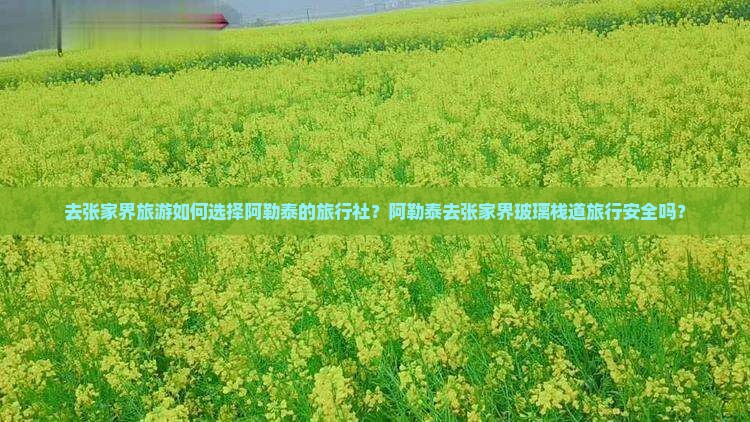 阿勒泰去张家界玻璃栈道旅行社