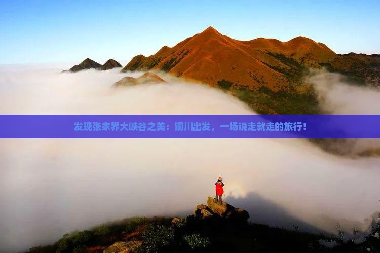 铜川去张家界大峡谷旅行社