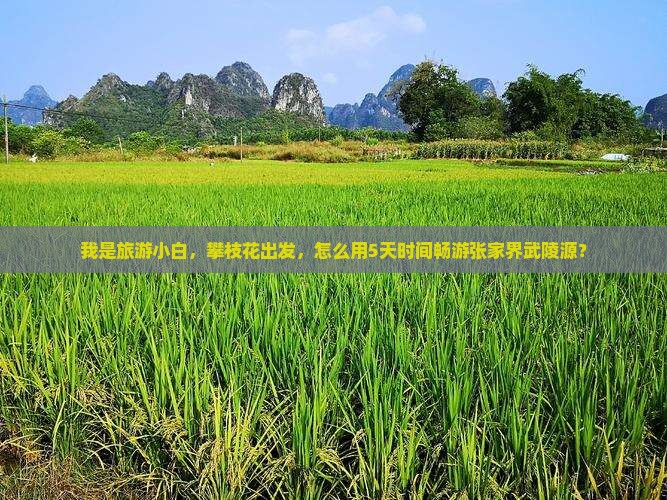 攀枝花去张家界武陵源自由团