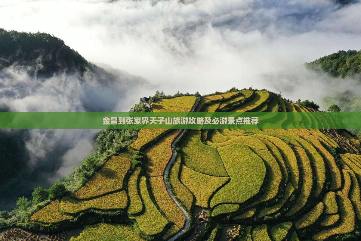 金昌到张家界天子山旅游