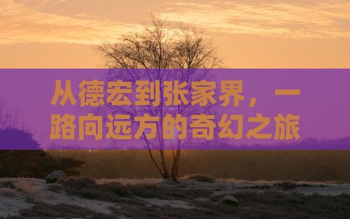 德宏去张家界攻略