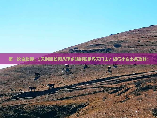 萍乡到张家界天门山五日游