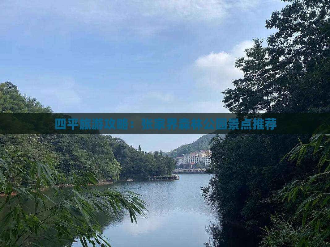 四平去张家界森林公园景点