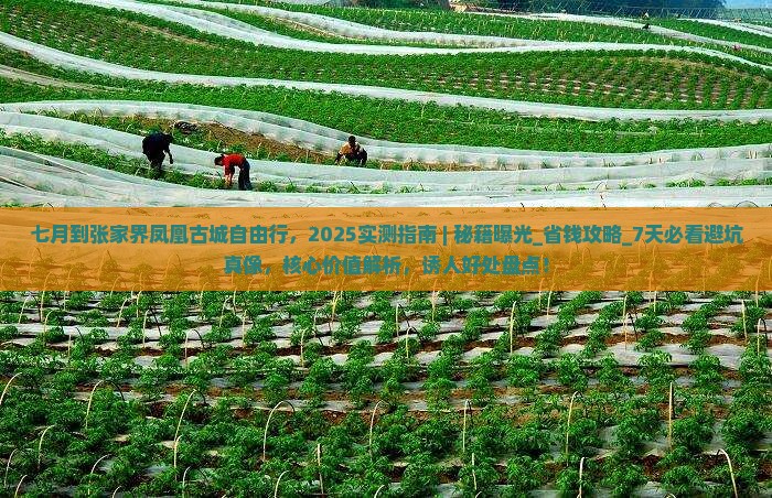 七月到张家界凤凰古城自由行