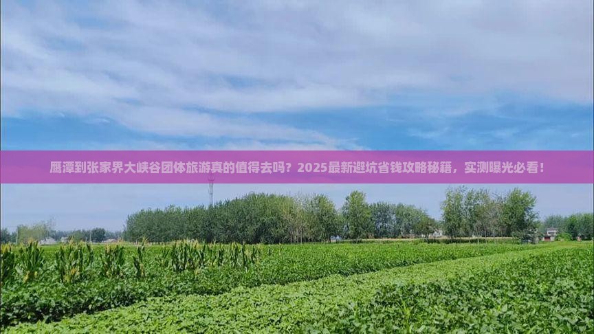 鹰潭到张家界大峡谷团体旅游