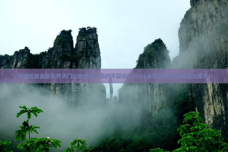 铜陵去张家界天门山自由行