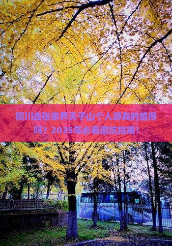 铜川去张家界天子山个人游