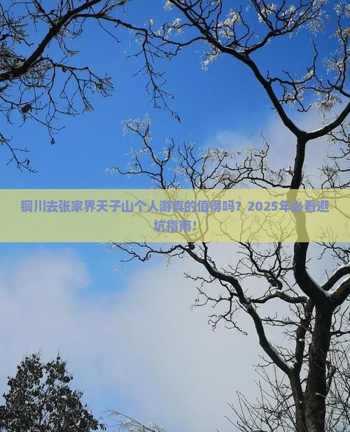 铜川去张家界天子山个人游
