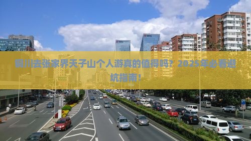 铜川去张家界天子山个人游