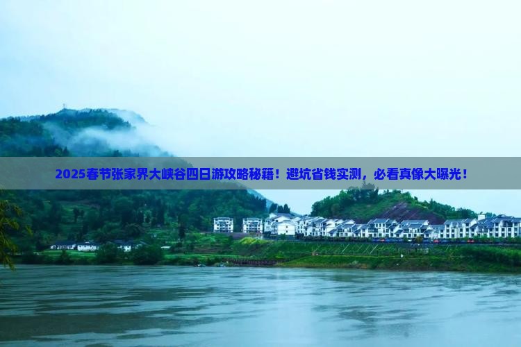 春节去张家界大峡谷四日游