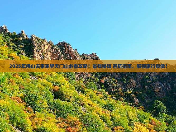 佛山去张家界天门山必去地