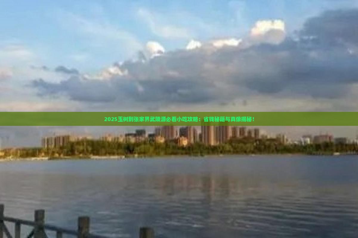 玉树到张家界武陵源旅游小吃