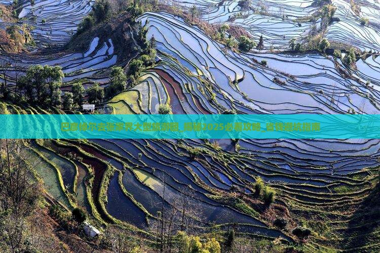 巴彦倬尔去张家界大型旅游团