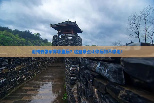 沧州去张家界哪里玩