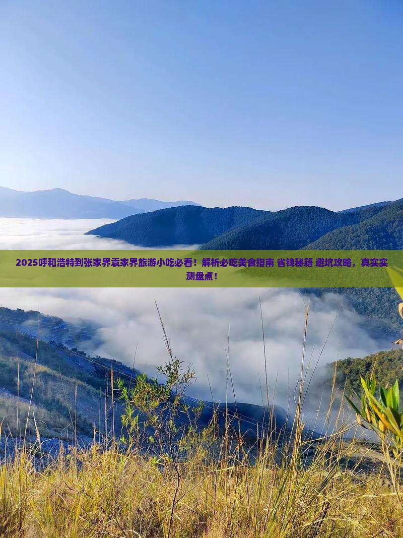 呼和浩特到张家界袁家界旅游小吃