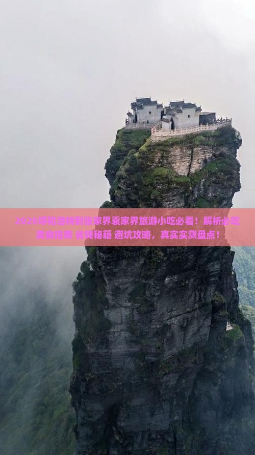 呼和浩特到张家界袁家界旅游小吃