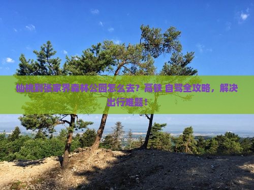 仙桃到张家界森林公园旅游