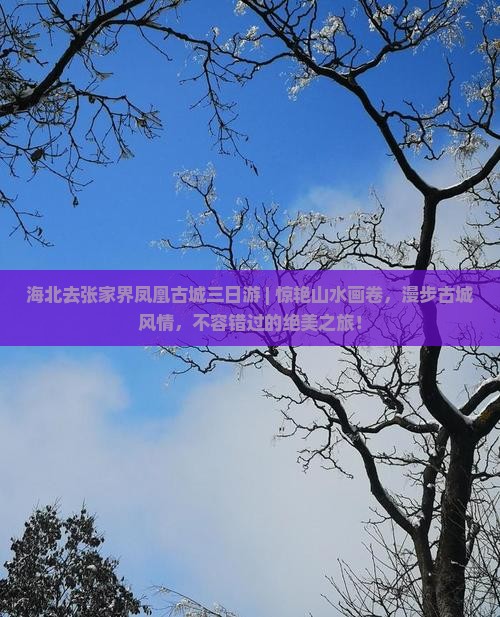 海北去张家界凤凰古城三日游