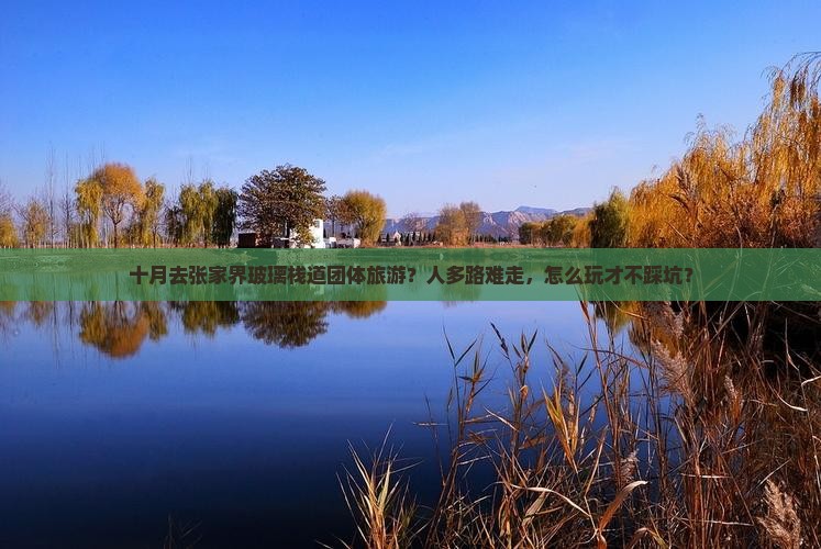 十月去张家界玻璃栈道团体旅游
