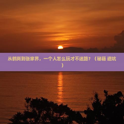 鹤岗去张家界个人游