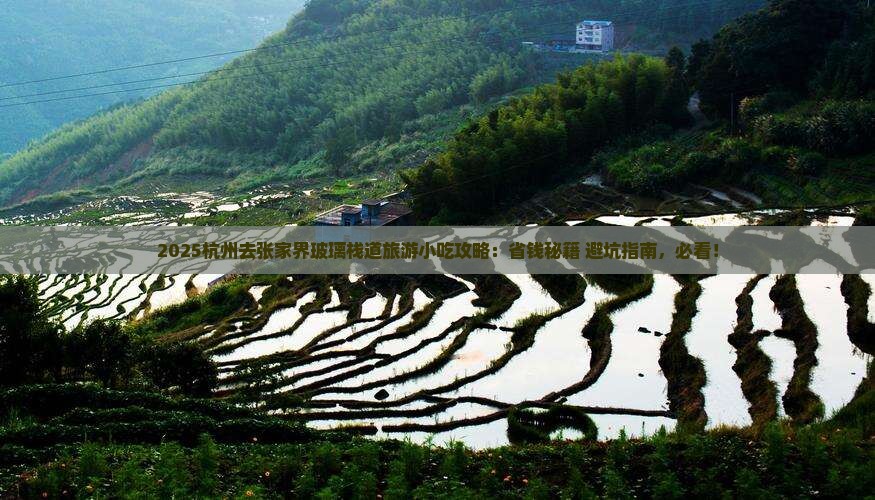 杭州去张家界玻璃栈道旅游小吃