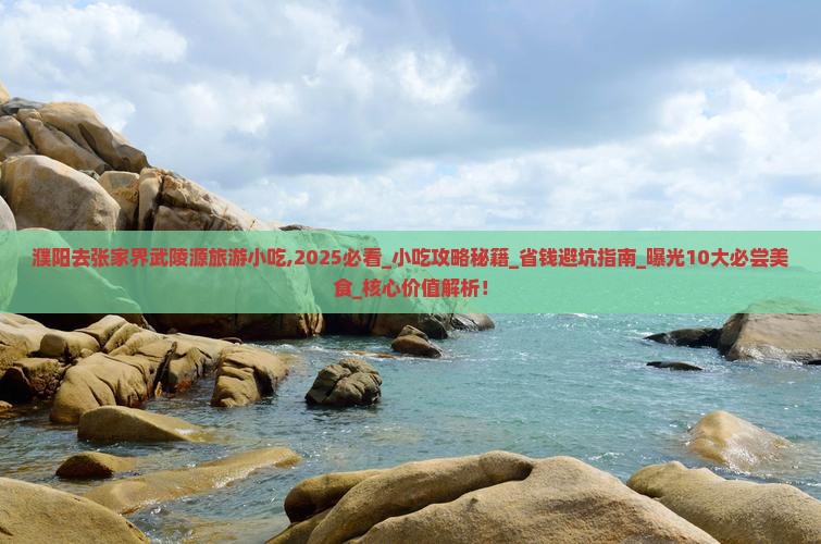 濮阳去张家界武陵源旅游小吃