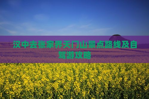 汉中去张家界天门山景点