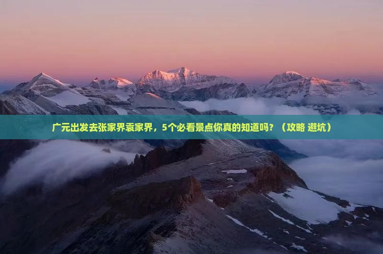 广元去张家界袁家界旅行社