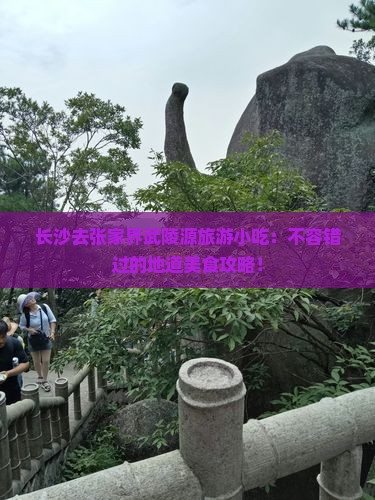 长沙去张家界武陵源旅游小吃