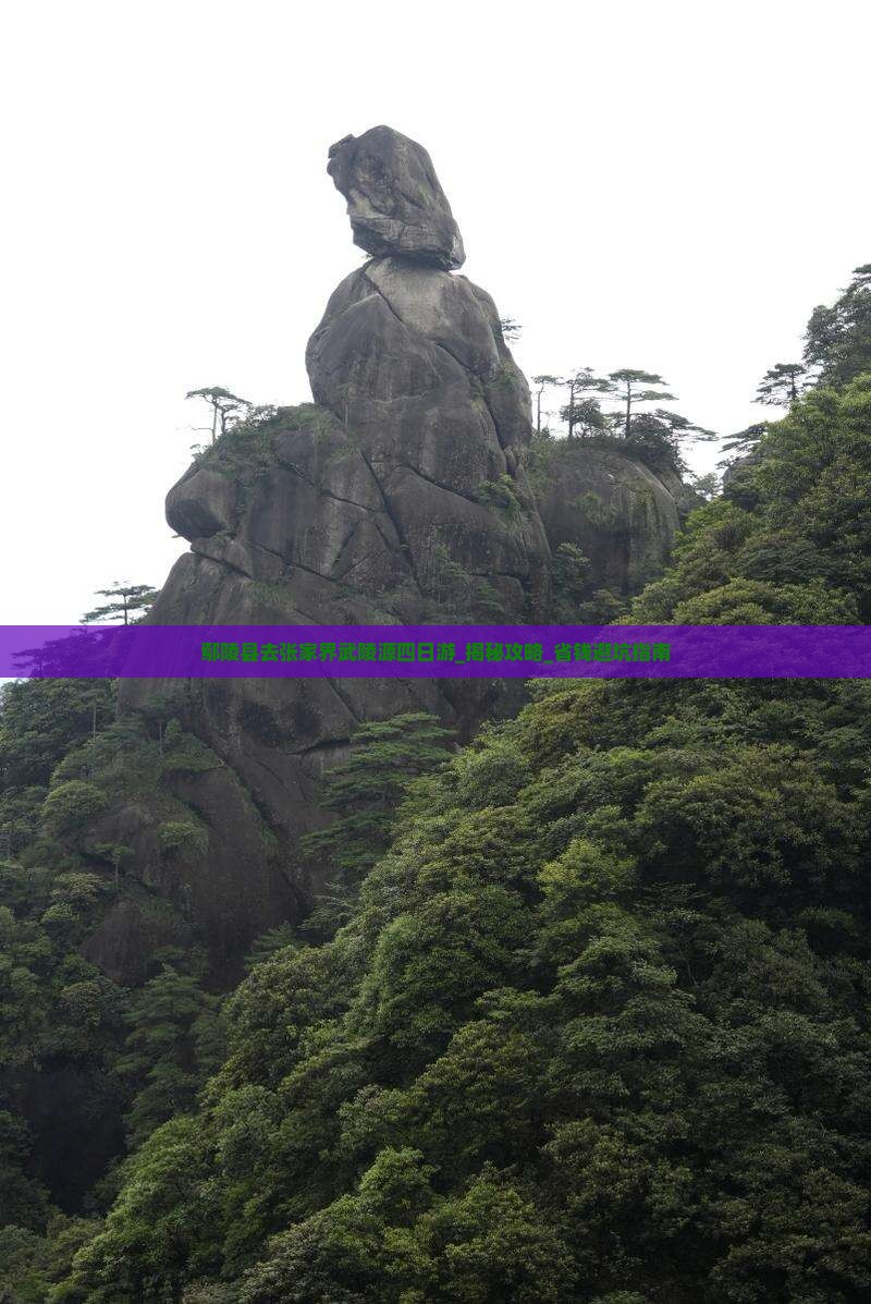 鄢陵县去张家界武陵源四日游
