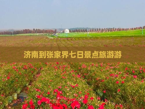 济南到张家界玻璃栈道七日游
