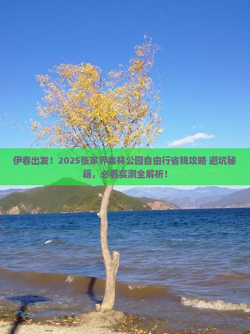 伊春到张家界森林公园自由行