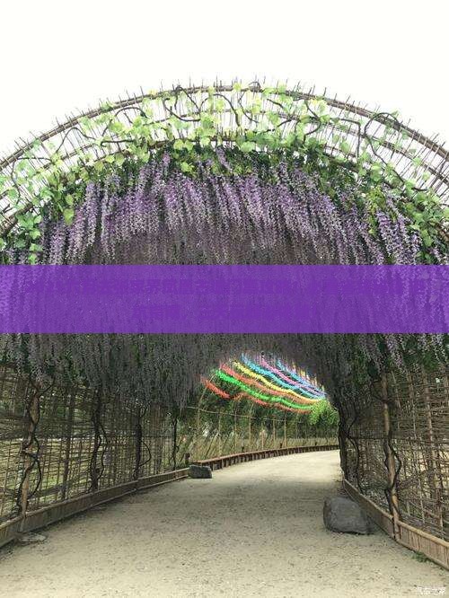 六月到张家界凤凰古城门票