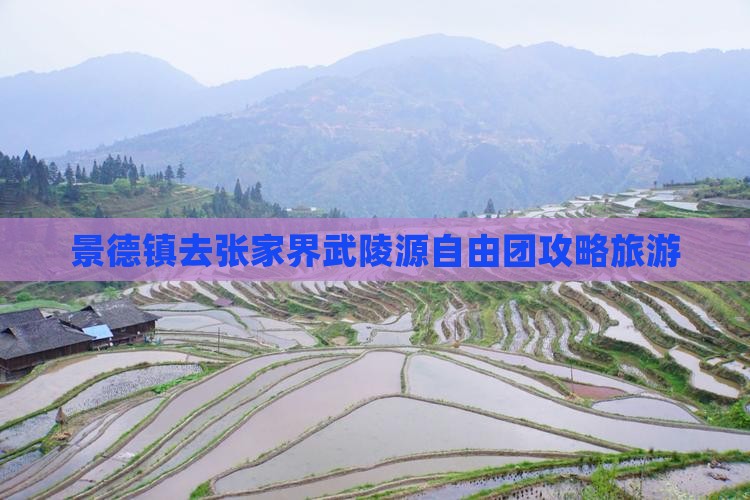 景德镇去张家界武陵源自由团