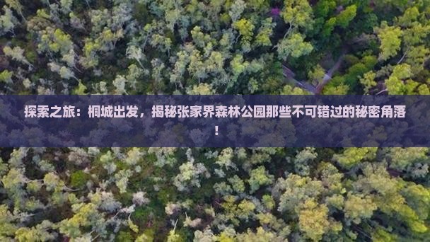 桐城到张家界森林公园必去地