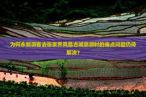 永新去张家界凤凰古城旅游