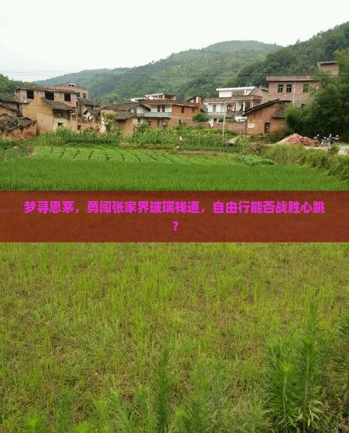 思茅去张家界玻璃栈道自由行