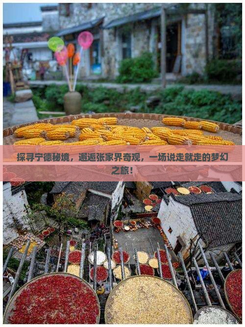 宁德到张家界旅游