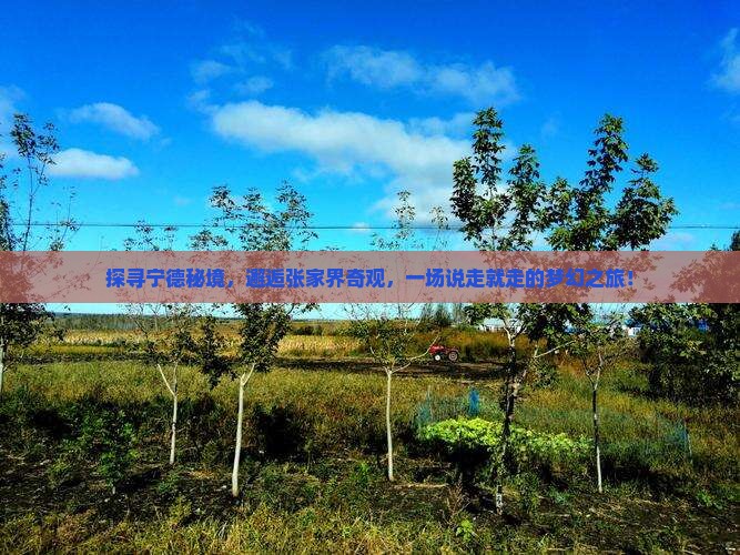 宁德到张家界旅游