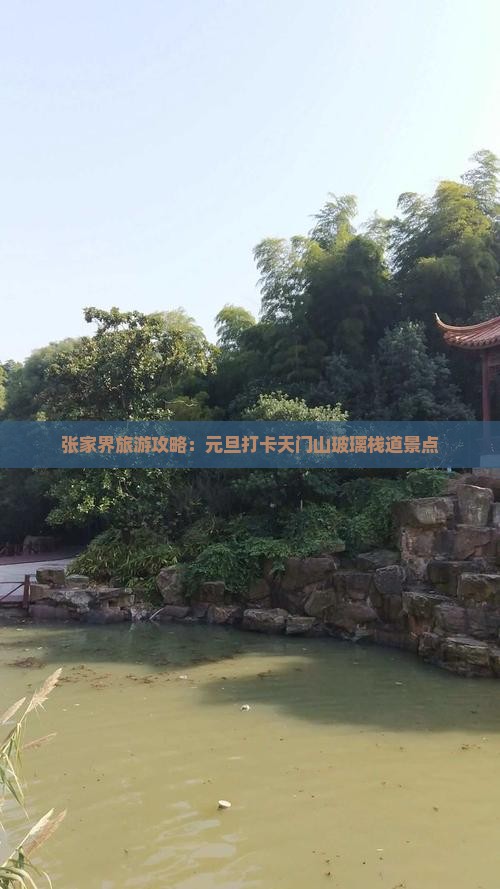 元旦到张家界玻璃栈道景点