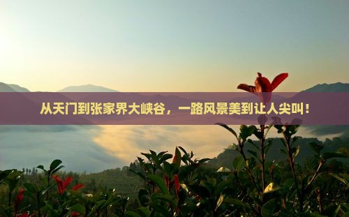 天门到张家界大峡谷哪里玩