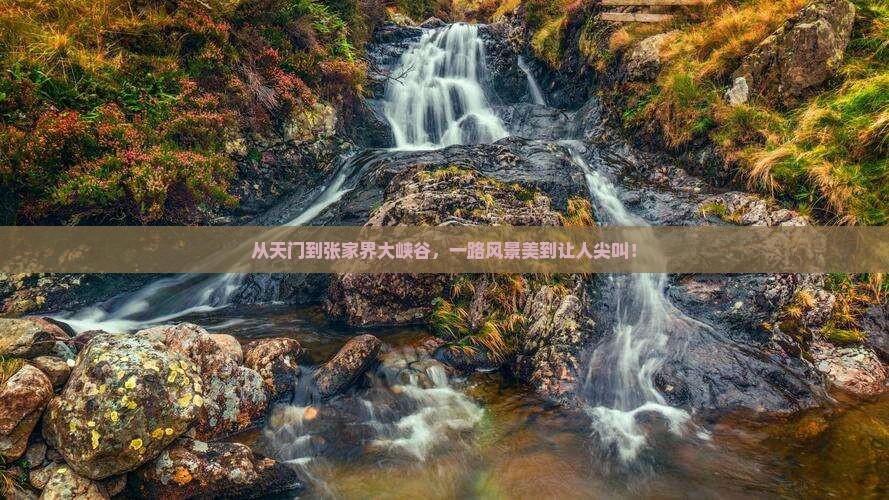 天门到张家界大峡谷哪里玩