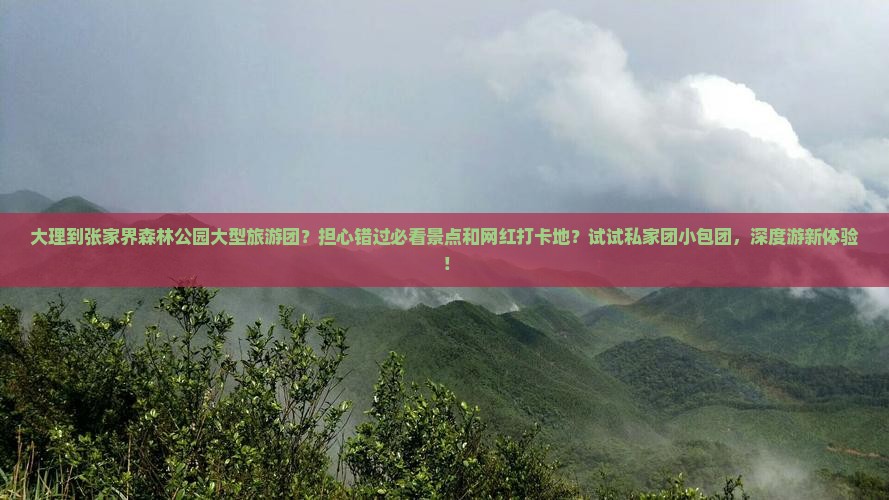 大理到张家界森林公园大型旅游团