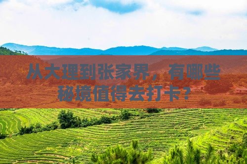 大理去张家界哪里玩