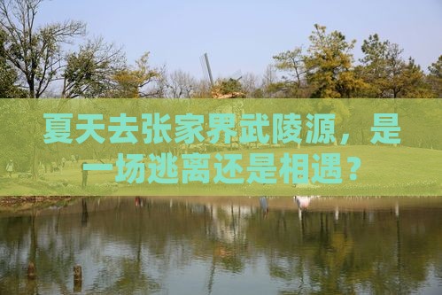 夏天去张家界武陵源一日