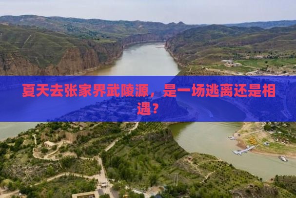 夏天去张家界武陵源一日